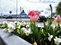visit baltic  - 43