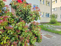 visit baltic  - 40